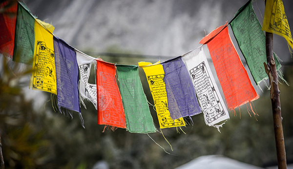Ladakh, Trekking no Himalaya Indiano